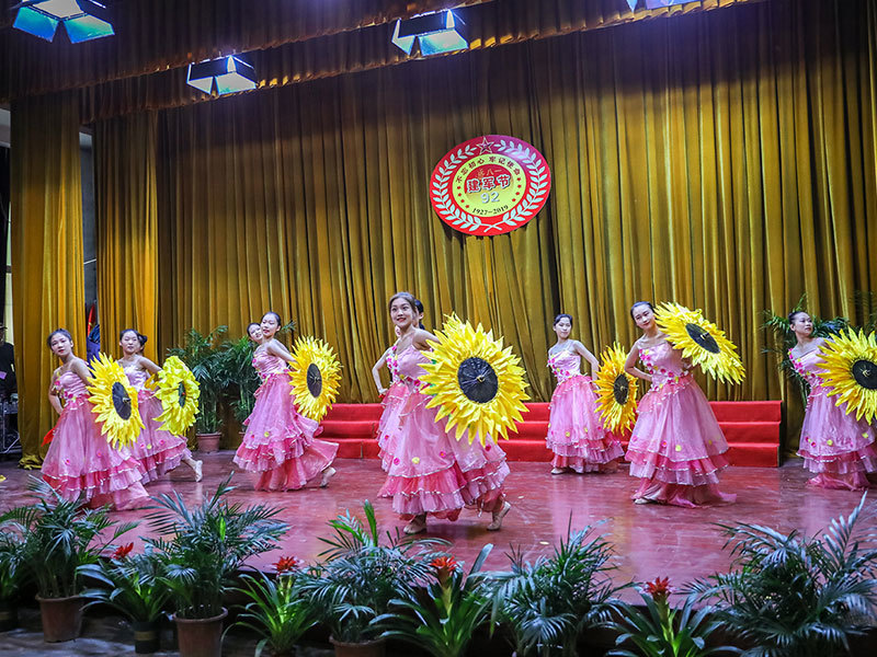 Army Day performance